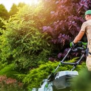 Servilimpsa Medio Ambiente, los especialistas en jardinería y paisajismo